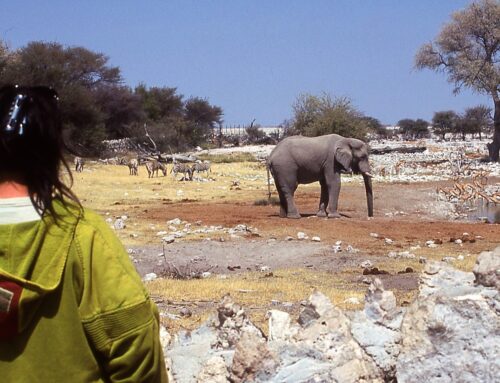 Namibia: misteriosa destinazione dell’Africa